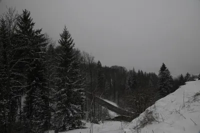 DSC_7075 (Large).JPG